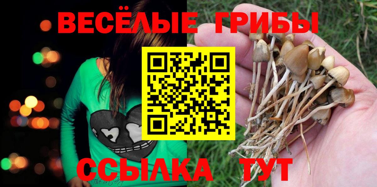 Галлюциногенные грибы мухоморы  Галлюциногенные грибы Psilocybe  Вход с VPN  Приморско-Ахтарск 